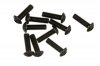 SIG 3x10 Screw (10pcs):MRX-6R